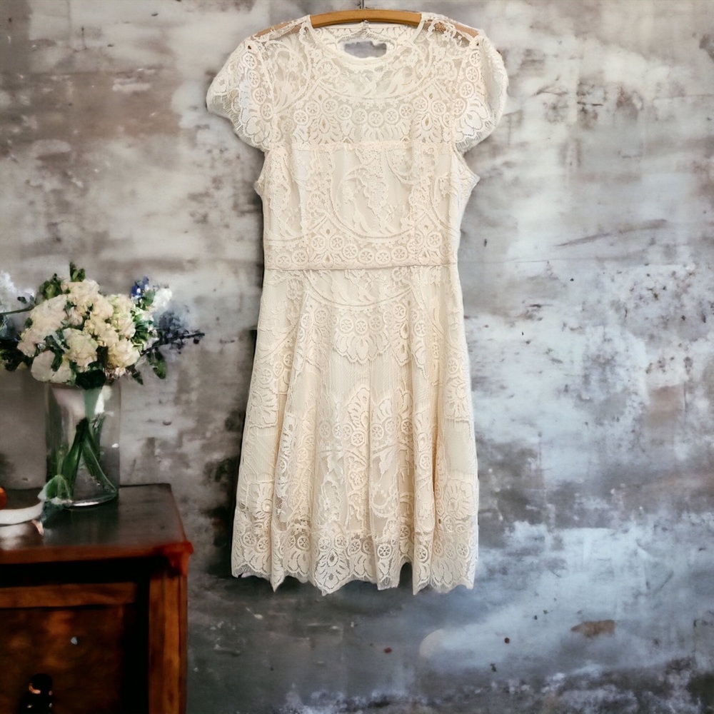 BB Dakota Rhianna Open Back Lace Fit & Flare Cocktail Dress SIZE 4